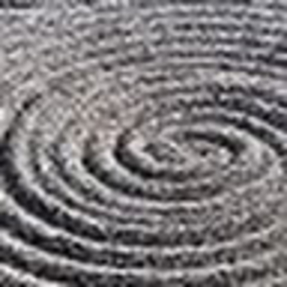 Meet your Posher, Patricia - Picture 1 of 1